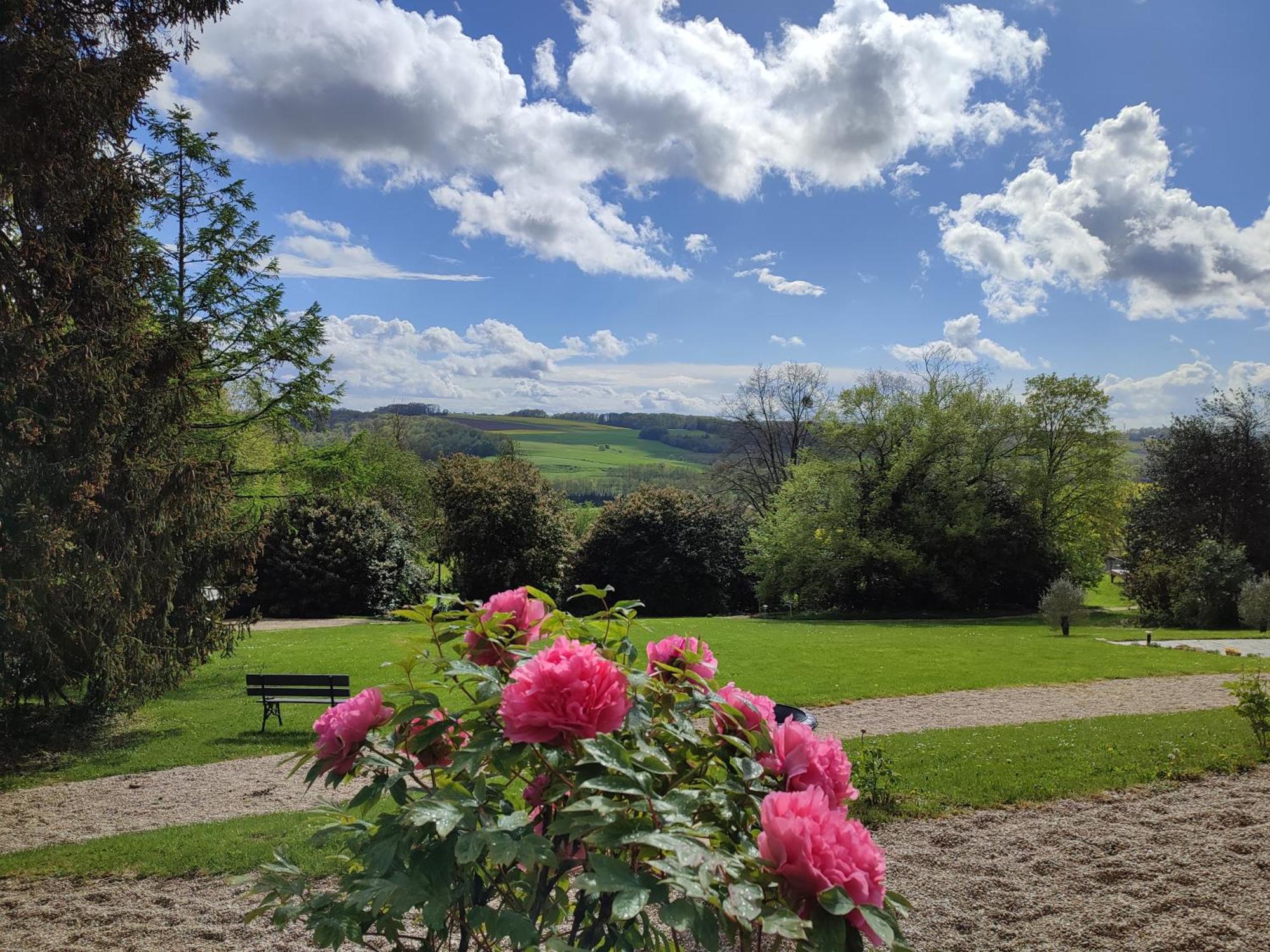 Demeure De La Garenne Bed and Breakfast Montmirail  Buitenkant foto