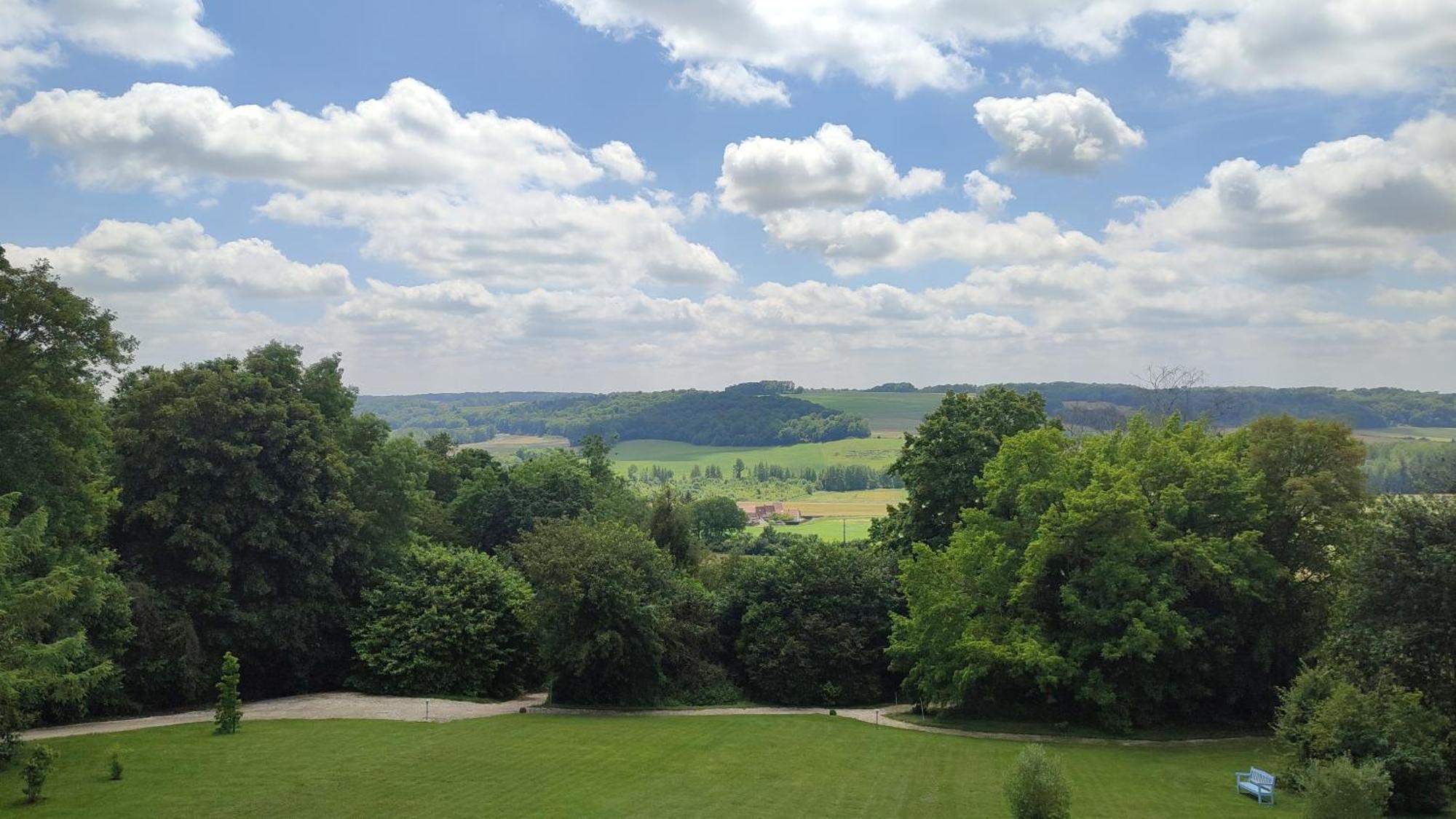 Demeure De La Garenne Bed and Breakfast Montmirail  Buitenkant foto